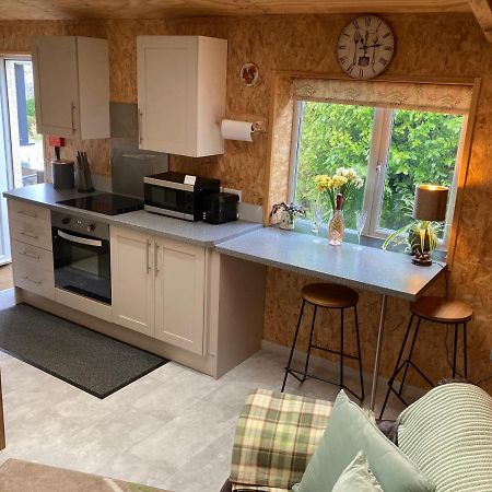 Gasthaus East Hillerton House Crediton Exterior foto