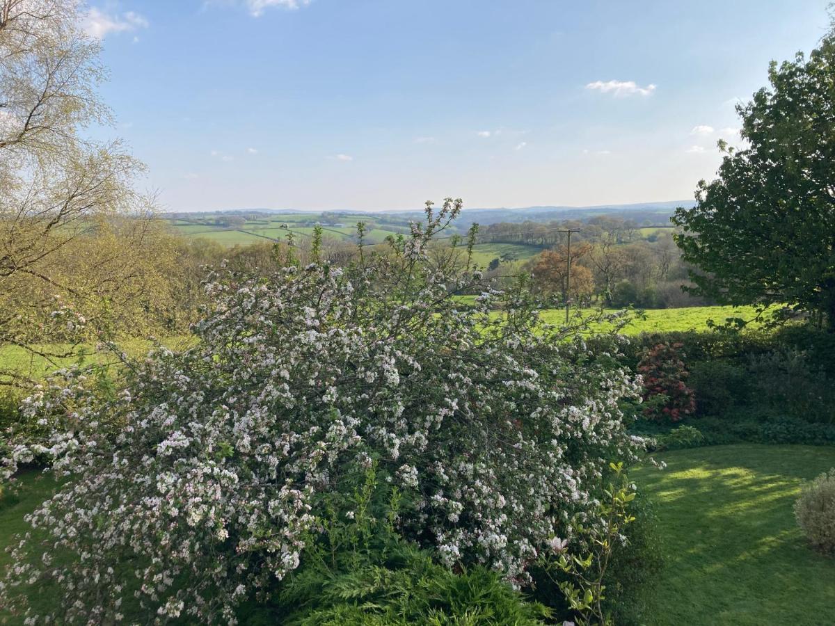 Gasthaus East Hillerton House Crediton Exterior foto